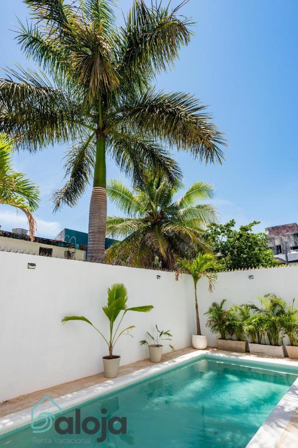 Vica Guest House Con Piscina En La Entrada De La Zona Hotelera كانكون المظهر الخارجي الصورة